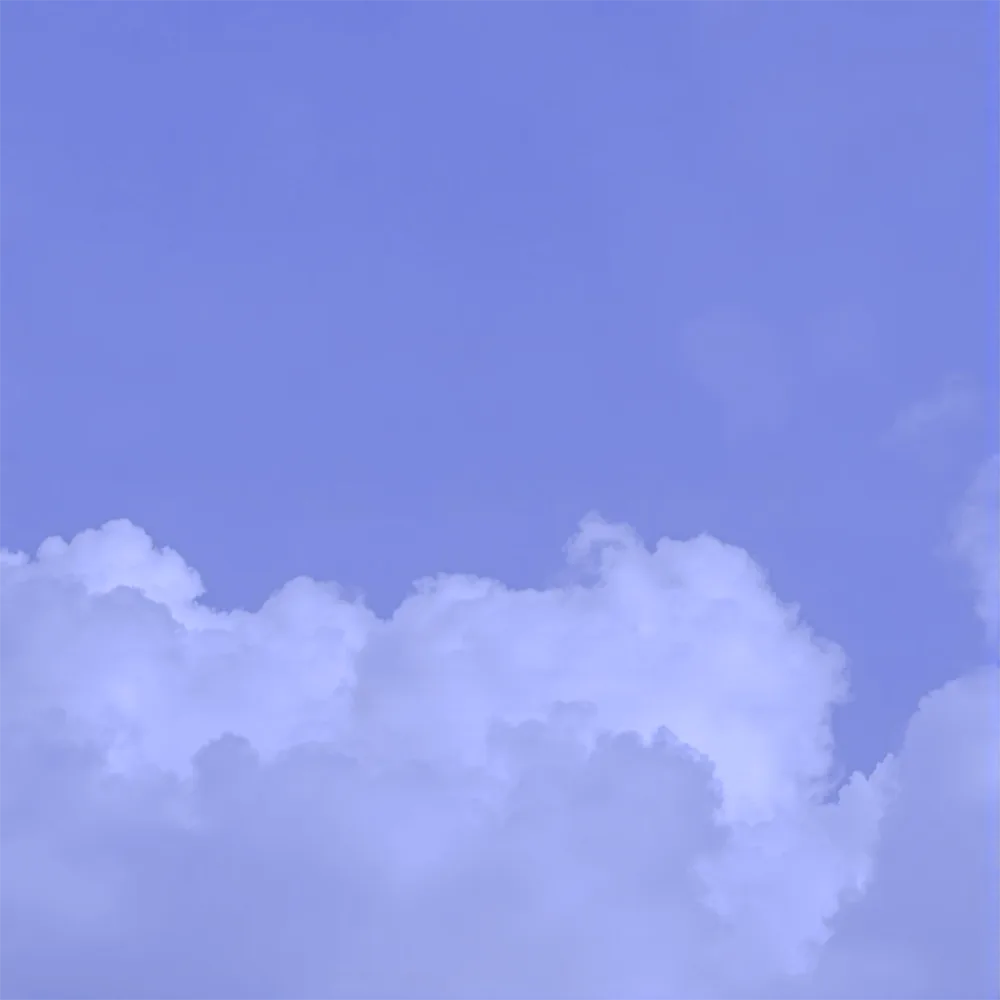 Ho.Bag Color selection: Wisteria blue